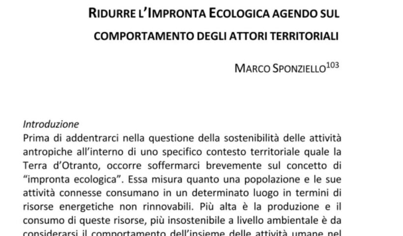 secondo contributo master plan unisalento marco sponziello